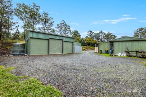 Property photo of 7 Bellbird Close Kew NSW 2439