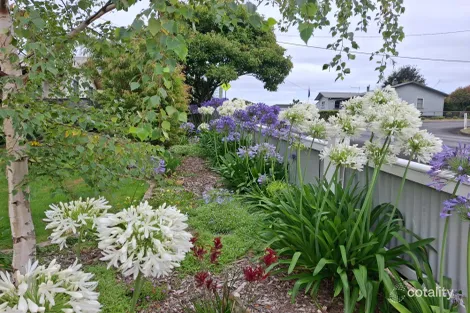 Property photo of 11 Baillieu Street Rosebery TAS 7470