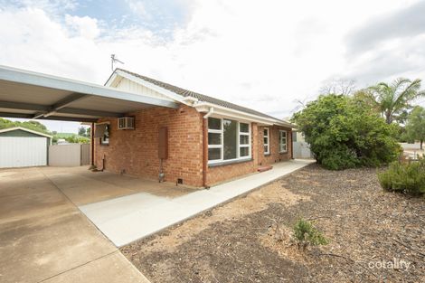 Property photo of 6 Noll Street Risdon Park South SA 5540