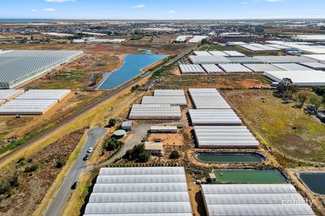 Property photo of 46 Downer Drive Virginia SA 5120