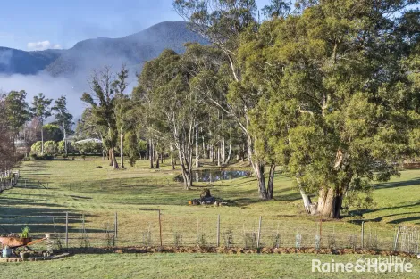 Property photo of 23 Mapley Road Lachlan TAS 7140
