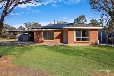 163 Battams Rd, Moorook, SA 5332