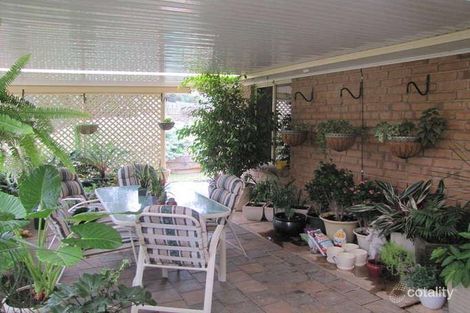 Property photo of 43 Brooks Avenue Willaston SA 5118