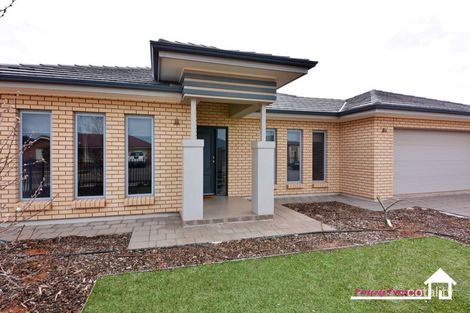 Property photo of 6 Jensen Avenue Whyalla Jenkins SA 5609