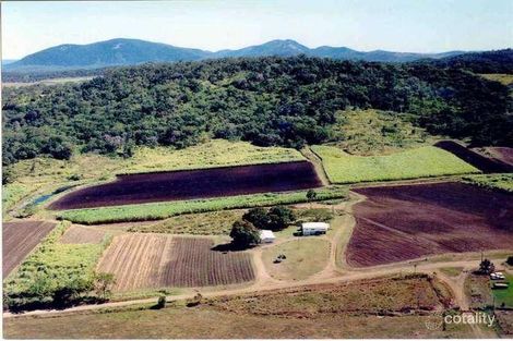 91 Camelzulis Rd, Balnagowan, QLD 4740