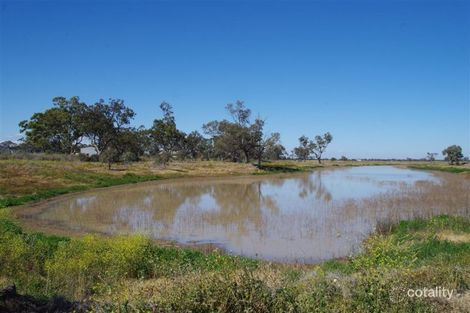 20841 Kamilaroi Hwy, Narrabri, NSW 2390