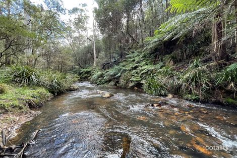 493 Wild Cattle Creek Rd, Nowendoc, NSW 2354