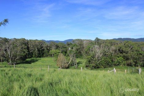 Property photo of 208 Euluma Creek Road Julatten QLD 4871