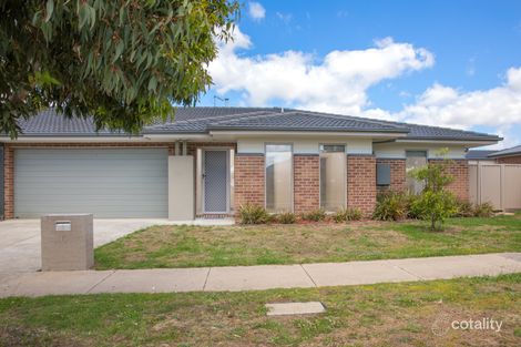 Property photo of 6 Sienna Street Alfredton VIC 3350