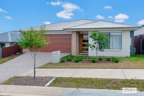 16 Canungra St, South Ripley, QLD 4306