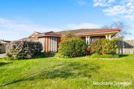 Property photo of 15 Kaitlyn Court Traralgon VIC 3844