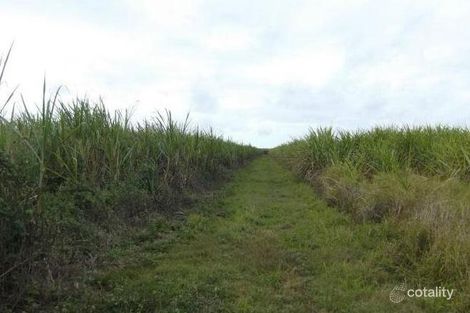 69 Newlands Rd, North Gregory, QLD 4660