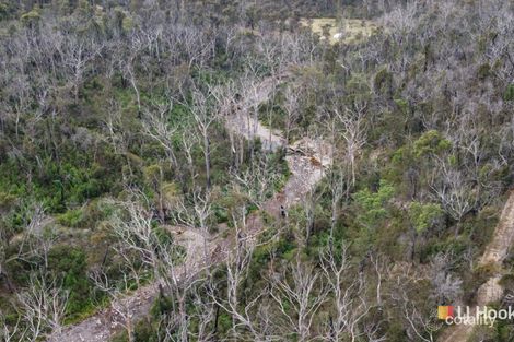 Property photo of 342 Murrabrine Forest Road Yowrie NSW 2550