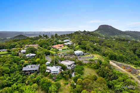 Property photo of 12 Caladenia Court Maroochy River QLD 4561