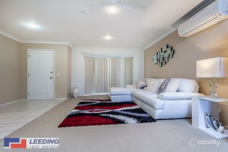 Property photo of 14 Calvary Crescent Boondall QLD 4034