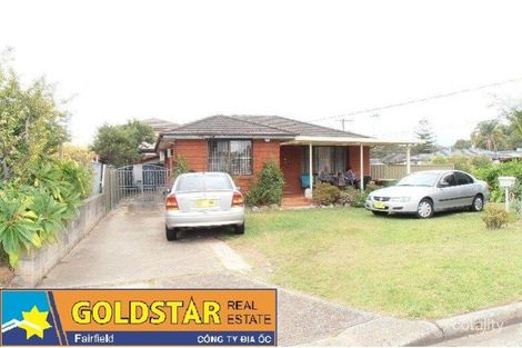 Property photo of 22 Fiona Street Mount Pritchard NSW 2170