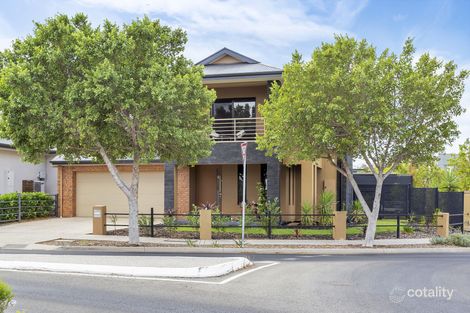Property photo of 25 Waterford Circuit Lightsview SA 5085