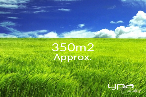 4 Artichoke St, Wollert, VIC 3750