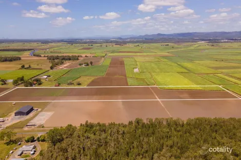 Property photo of 66-92 New Norwell Road Woongoolba QLD 4207