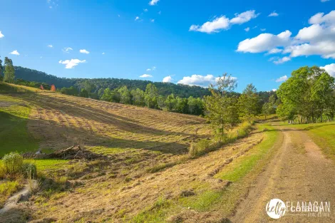 Property photo of Forest Way Bellbrook NSW 2440