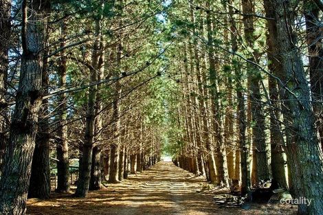 Property photo of 1363 Bogan Road Golden Valley TAS 7304