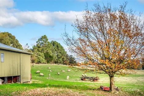 Property photo of 11 Basin Road Grove TAS 7109