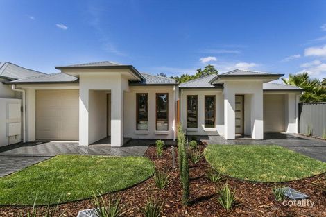 8b Everest Ave, Morphettville, SA 5043