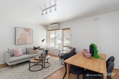 Property photo of 6/43 Williams Road Windsor VIC 3181