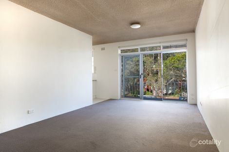 Property photo of 6/12 Grafton Crescent Dee Why NSW 2099