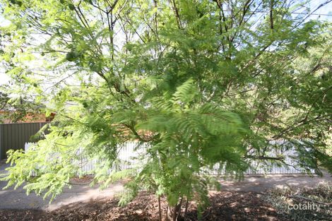 2 Burleigh St, Cumberland Park, SA 5041