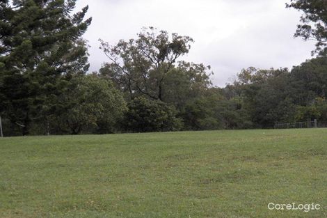 Property photo of 661 Yakapari-Seaforth Road Mount Jukes QLD 4740
