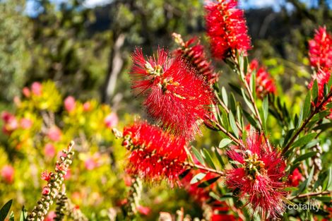 Property photo of 135 Risby Road Middleton TAS 7163