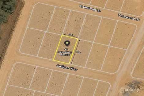 42 Caliper Way, Baldivis, WA 6171