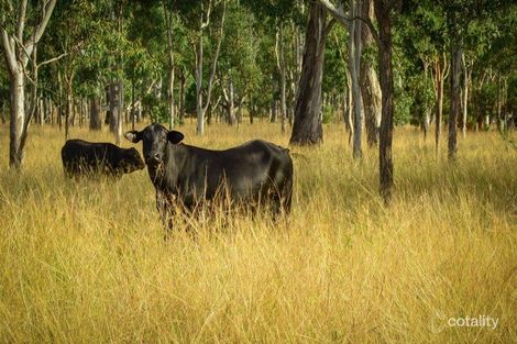 Property photo of 82-200 Hines Road Mutdapilly QLD 4307