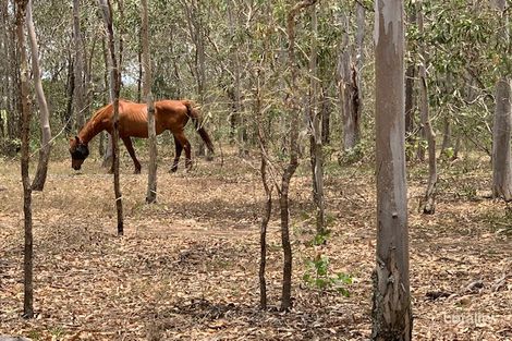 Property photo of 566 Rocky Gully Road Coominya QLD 4311