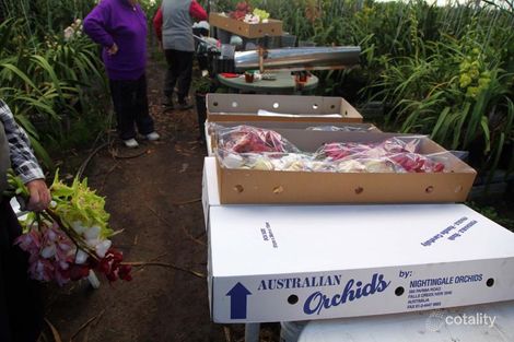 Property photo of 385 Parma Road Parma NSW 2540