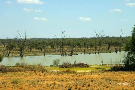 Property photo of 79 Hughes Avenue Paringa SA 5340