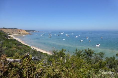 Property photo of 182 Beach Road Sandringham VIC 3191