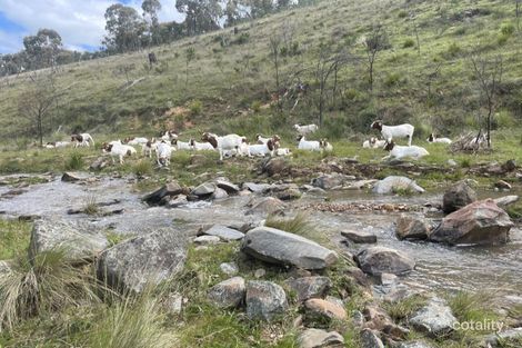 Property photo of 836 Pyramul Road Windeyer NSW 2850