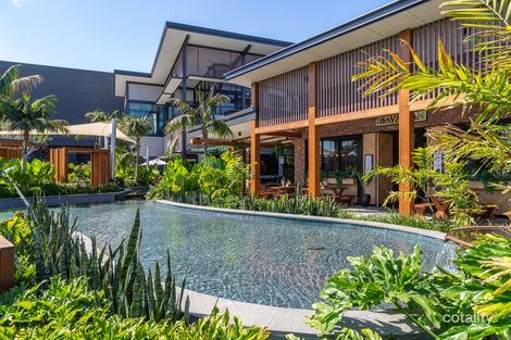 31 Pitta St, Maudsland, QLD 4210