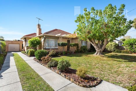 Property photo of 11 Juniper Avenue Glen Waverley VIC 3150