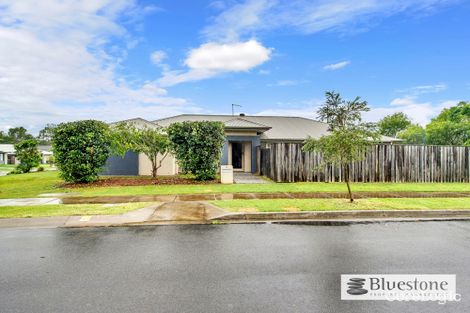 Property photo of 11 Sanctuary Place Upper Kedron QLD 4055