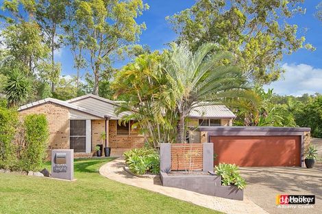 8 Biggs Ct, Albany Creek, QLD 4035