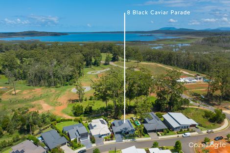 Property photo of 8 Black Caviar Parade Port Macquarie NSW 2444