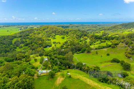 62 Bluegum Ct, Crabbes Creek, NSW 2483