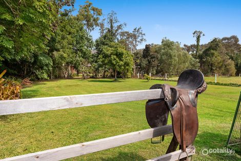 Property photo of 408 Chelsea Road Ransome QLD 4154