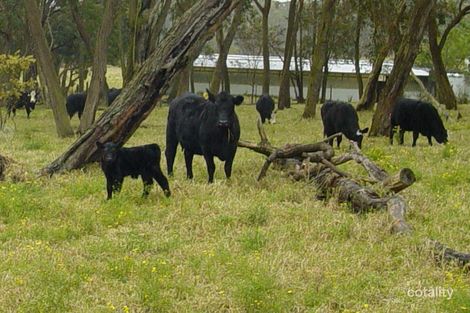 Property photo of 58 Cherry Lane Kulnura NSW 2250