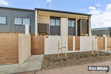 Property photo of 24/76 Stockman Avenue Lawson ACT 2617