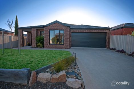 Property photo of 19 Sugargum Crescent Kialla VIC 3631