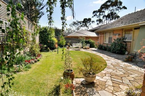 Property photo of 6 Larbert Avenue Balwyn North VIC 3104